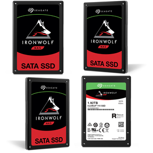 Seagate ironwolf hot sale 110 ssd